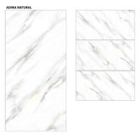 ADINA NATURAL