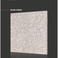 SILVER COOKIE
