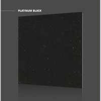 PLATINUM BLACK