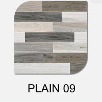 PLAIN 09