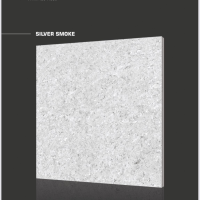 SILVER SMOKE