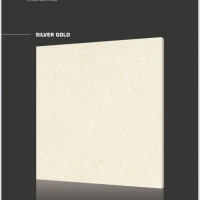 SILVER GOLD