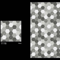 1116 (6036) 25081